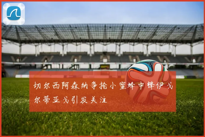切尔西阿森纳争抢小蜜蜂中锋伊戈尔蒂亚戈引发关注